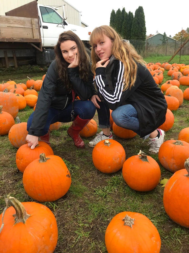 High School USA - pumpkin farm