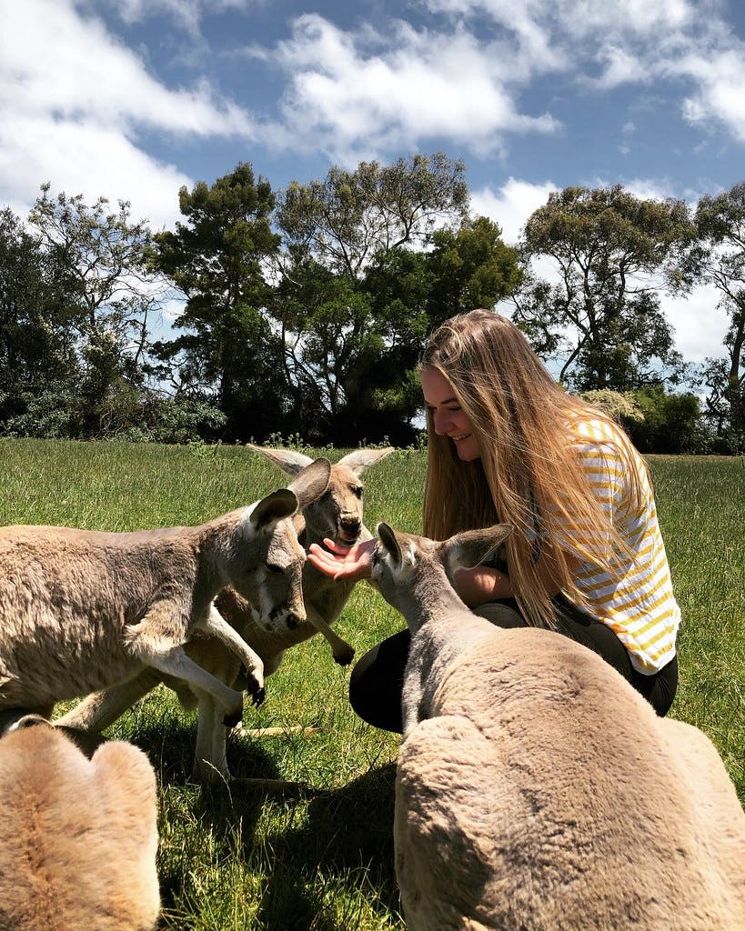 High School Australia - student with kangaroos