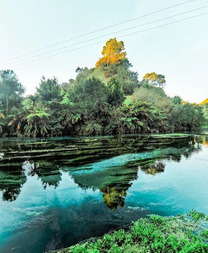 New Zealand lush nature