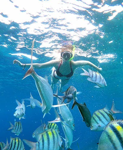 snorkeling in Mexico